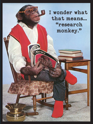 Research Monkey