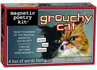 Grouchy Cat